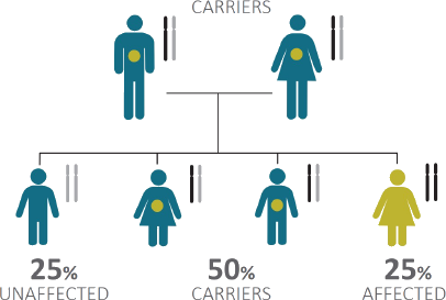 Gangliosidosis Inheritance Tree